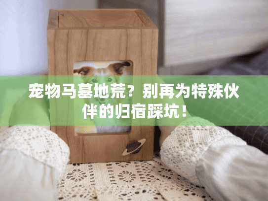 宠物马墓地荒？别再为特殊伙伴的归宿踩坑！