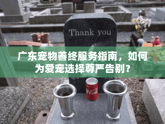 广东宠物善终服务指南，如何为爱宠选择尊严告别？