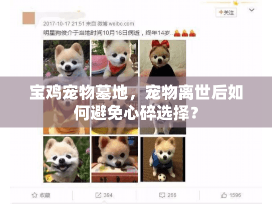 宝鸡宠物墓地，宠物离世后如何避免心碎选择？