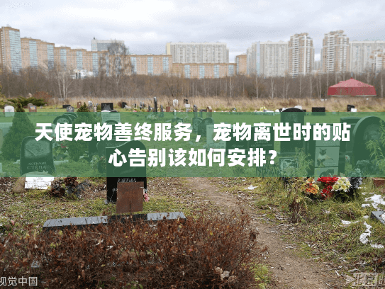 天使宠物善终服务，宠物离世时的贴心告别该如何安排？