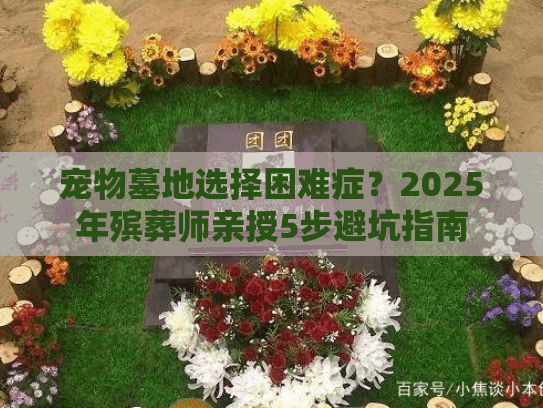 宠物墓地选择困难症？2025年殡葬师亲授5步避坑指南