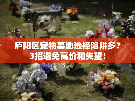 庐阳区宠物墓地选择陷阱多？3招避免高价和失望！
