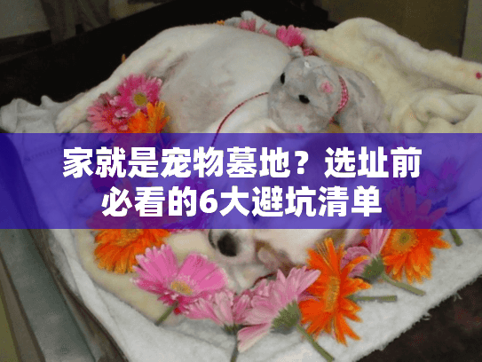 家就是宠物墓地？选址前必看的6大避坑清单