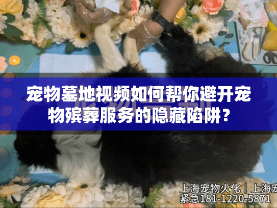 宠物墓地视频如何帮你避开宠物殡葬服务的隐藏陷阱？