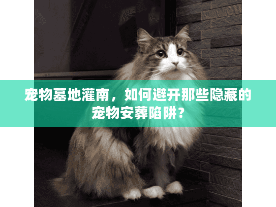 宠物墓地灌南，如何避开那些隐藏的宠物安葬陷阱？
