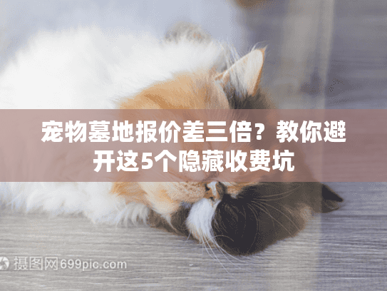 宠物墓地报价差三倍？教你避开这5个隐藏收费坑