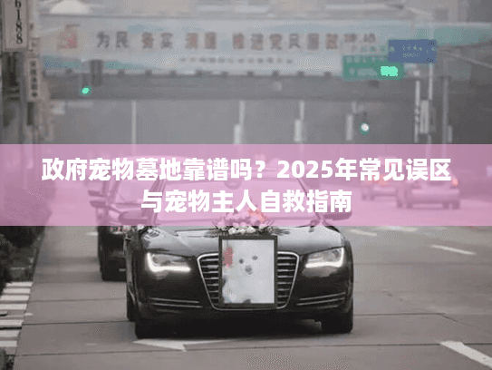 政府宠物墓地靠谱吗？2025年常见误区与宠物主人自救指南