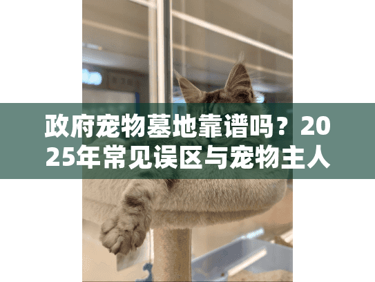 政府宠物墓地靠谱吗？2025年常见误区与宠物主人自救指南