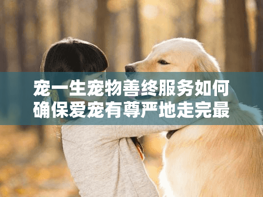 宠一生宠物善终服务如何确保爱宠有尊严地走完最后一程?