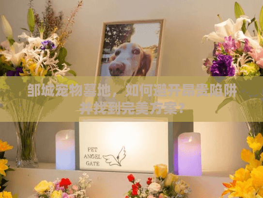 邹城宠物墓地,如何避开昂贵陷阱并找到完美方案? 邹城宠物墓地,如何避开昂贵陷阱并找到完美方案?