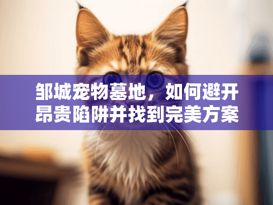 邹城宠物墓地,如何避开昂贵陷阱并找到完美方案? 邹城宠物墓地,如何避开昂贵陷阱并找到完美方案?