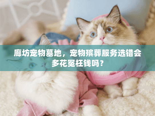 廊坊宠物墓地，宠物殡葬服务选错会多花冤枉钱吗？