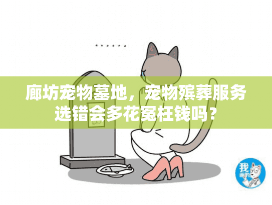 廊坊宠物墓地，宠物殡葬服务选错会多花冤枉钱吗？