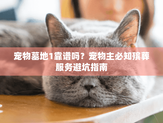 宠物墓地1靠谱吗？宠物主必知殡葬服务避坑指南