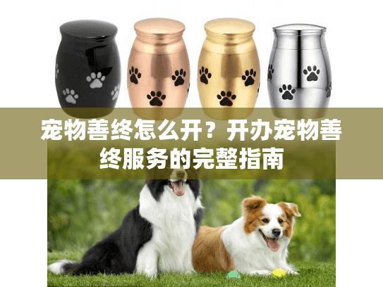 宠物善终怎么开？开办宠物善终服务的完整指南