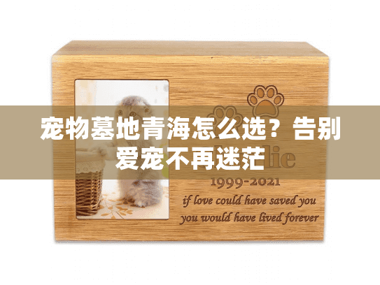 宠物墓地青海怎么选？告别爱宠不再迷茫