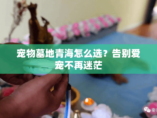 宠物墓地青海怎么选？告别爱宠不再迷茫