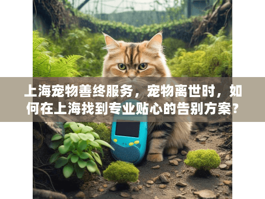 上海宠物善终服务，宠物离世时，如何在上海找到专业贴心的告别方案？