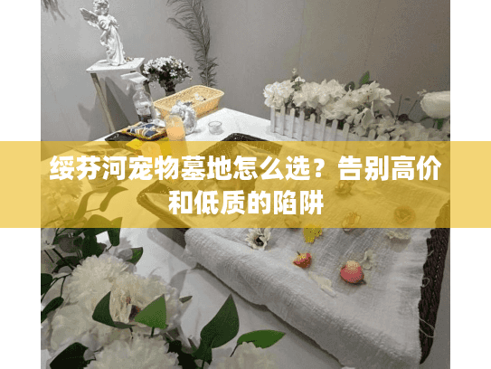 绥芬河宠物墓地怎么选？告别高价和低质的陷阱