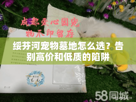 绥芬河宠物墓地怎么选？告别高价和低质的陷阱