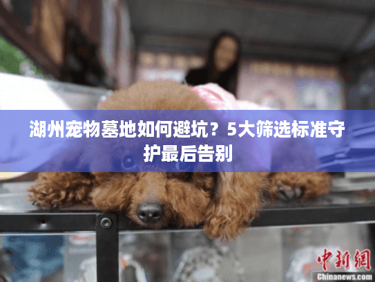 湖州宠物墓地如何避坑？5大筛选标准守护最后告别