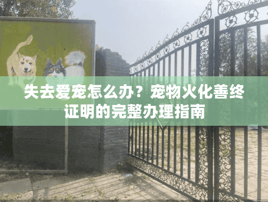 失去爱宠怎么办？宠物火化善终证明的完整办理指南
