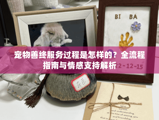 宠物善终服务过程是怎样的？全流程指南与情感支持解析