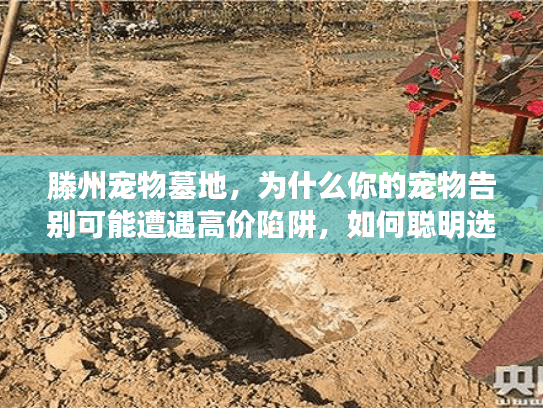 滕州宠物墓地，为什么你的宠物告别可能遭遇高价陷阱，如何聪明选择？