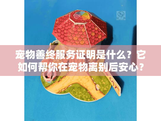 宠物善终服务证明是什么？它如何帮你在宠物离别后安心？