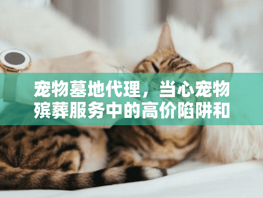 宠物墓地代理，当心宠物殡葬服务中的高价陷阱和隐形收费？