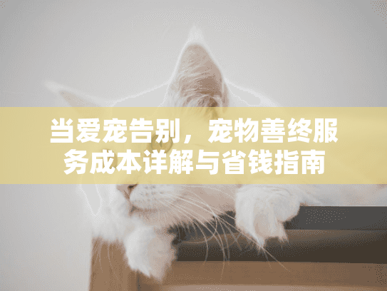 当爱宠告别，宠物善终服务成本详解与省钱指南