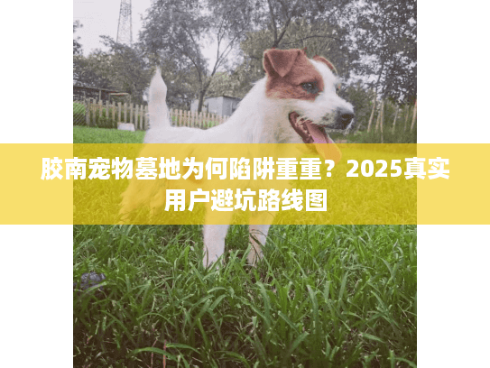 胶南宠物墓地为何陷阱重重?2025真实用户避坑路线图 胶南宠物墓地为何陷阱重重?2025真实用户避坑路线图