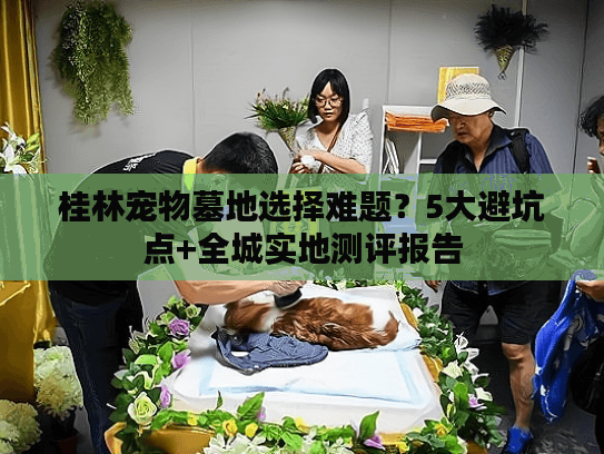 桂林宠物墓地选择难题？5大避坑点+全城实地测评报告