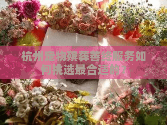 杭州宠物殡葬善终服务如何挑选最合适的？