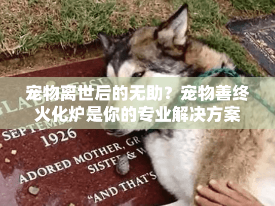 宠物离世后的无助？宠物善终火化炉是你的专业解决方案