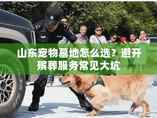 山东宠物墓地怎么选？避开殡葬服务常见大坑