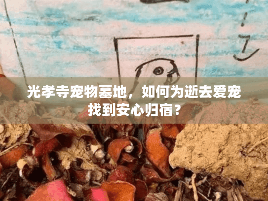 光孝寺宠物墓地，如何为逝去爱宠找到安心归宿？