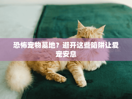 恐怖宠物墓地？避开这些陷阱让爱宠安息