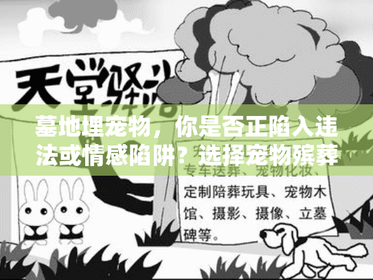 墓地埋宠物，你是否正陷入违法或情感陷阱？选择宠物殡葬服务的实战避坑手册