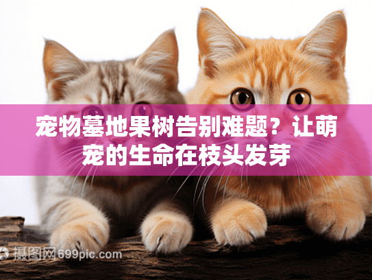 宠物墓地果树告别难题？让萌宠的生命在枝头发芽