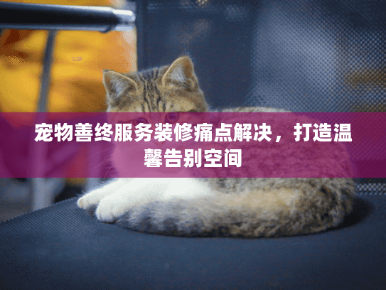 宠物善终服务装修痛点解决，打造温馨告别空间