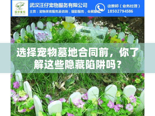选择宠物墓地合同前，你了解这些隐藏陷阱吗？