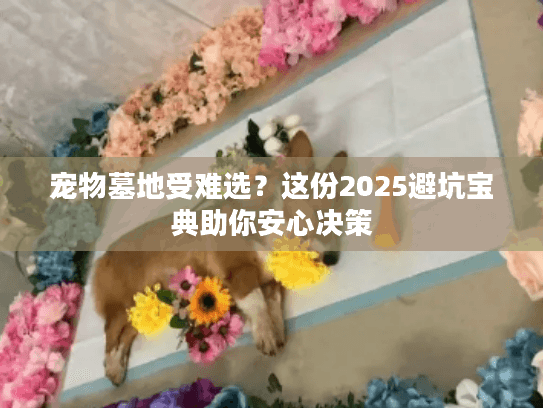 宠物墓地受难选？这份2025避坑宝典助你安心决策
