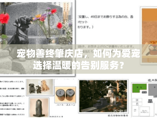 宠物善终肇庆店，如何为爱宠选择温暖的告别服务？