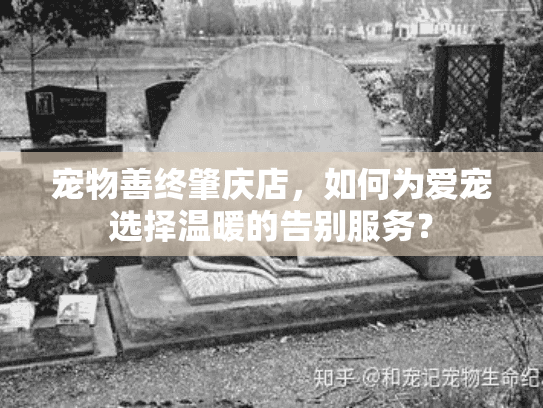 宠物善终肇庆店，如何为爱宠选择温暖的告别服务？