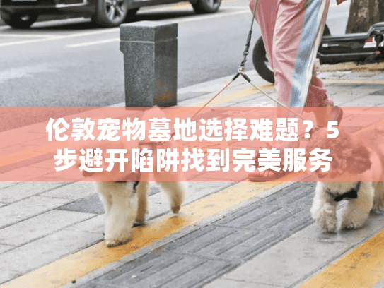 伦敦宠物墓地选择难题？5步避开陷阱找到完美服务