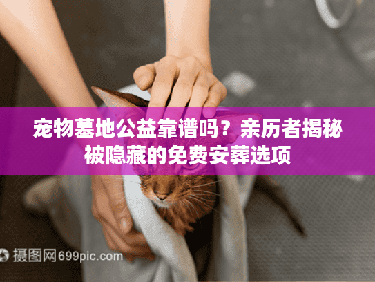 宠物墓地公益靠谱吗？亲历者揭秘被隐藏的免费安葬选项