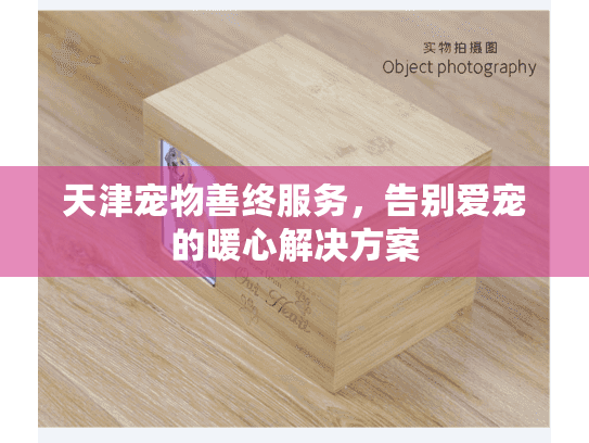 天津宠物善终服务，告别爱宠的暖心解决方案