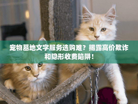 宠物墓地文字服务选购难？揭露高价欺诈和隐形收费陷阱！