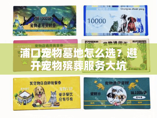 浦口宠物墓地怎么选？避开宠物殡葬服务大坑